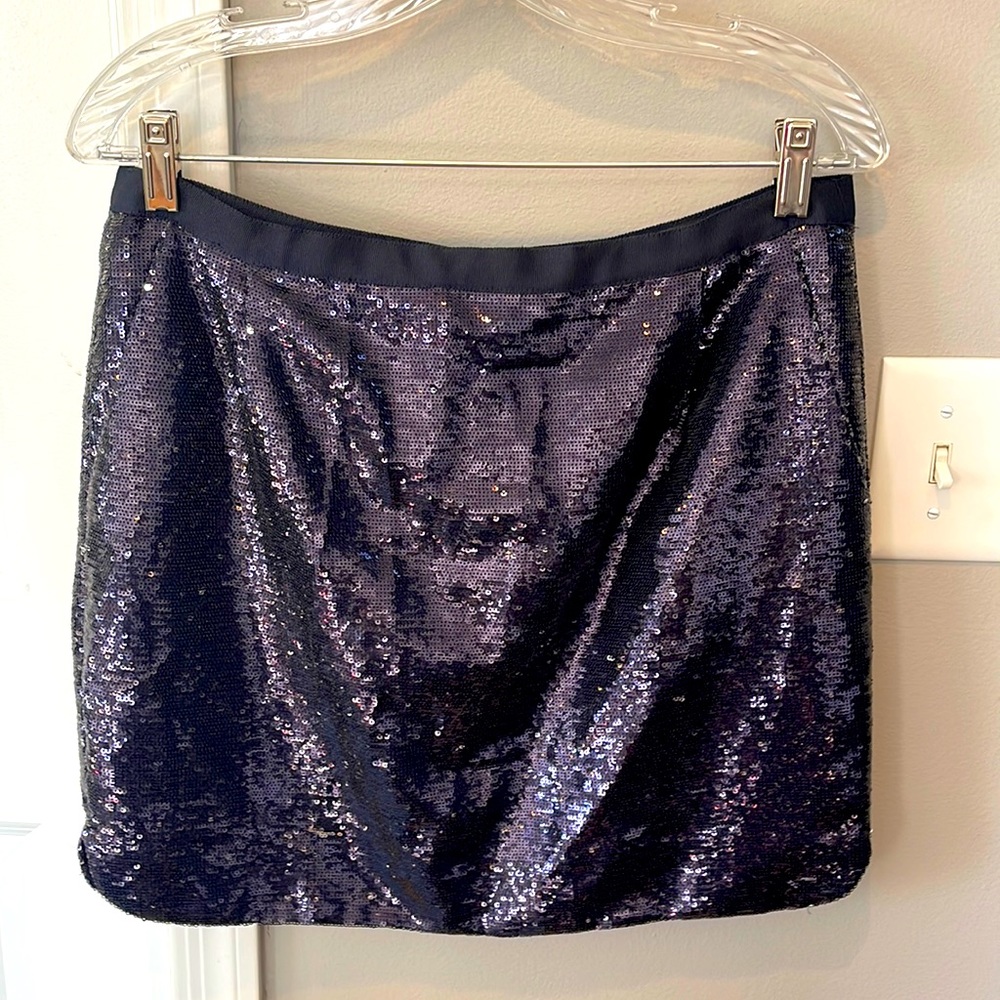 J. Crew Navy and Silver Sequin Miniskirt 6
